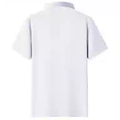 Automobili Lamborghini Polo