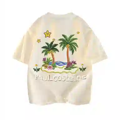 PAUL COSTELLOE T