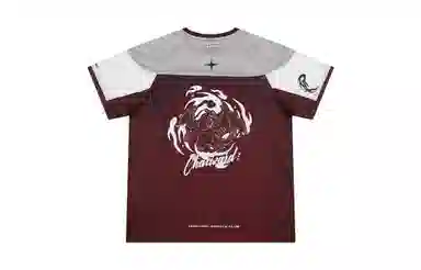 VEIDOORN x POKEMON T