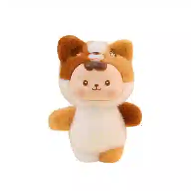 16cm