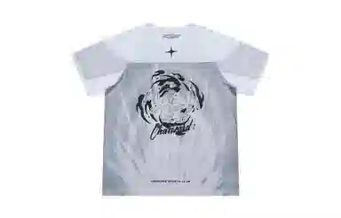 VEIDOORN x POKEMON T