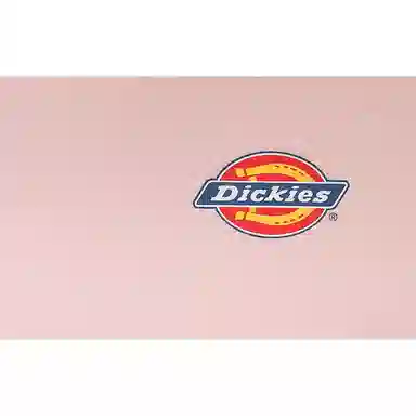 Dickies T DK012314B80