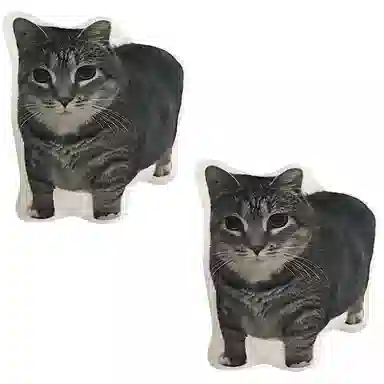 PP