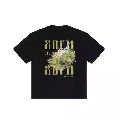 XDFM T