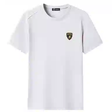 Automobili Lamborghini Polo