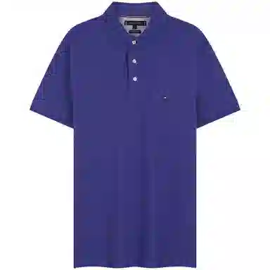 Tommy Hilfiger Polo