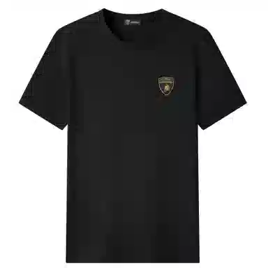 Automobili Lamborghini Polo