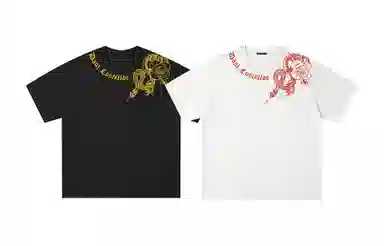 PAUL COSTELLOE logoinsT 2