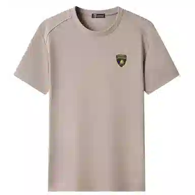 Automobili Lamborghini Polo