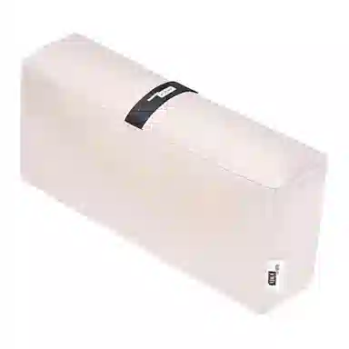 FANJI Chanel2.55mini
