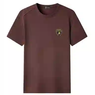 Automobili Lamborghini Polo