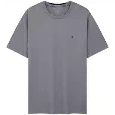 Tommy Hilfiger T