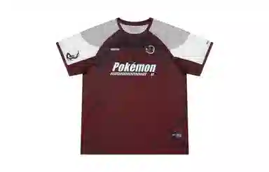 VEIDOORN x POKEMON T