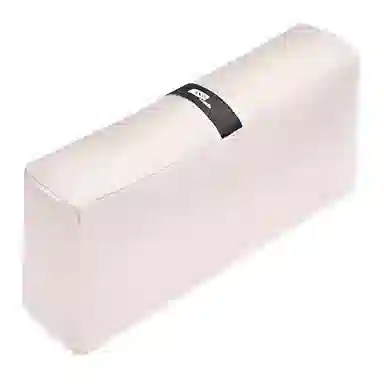FANJI Chanel2.55mini