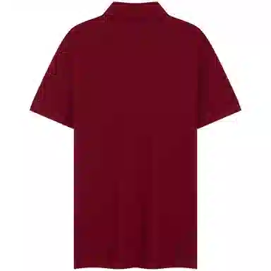 Tommy Hilfiger Polo