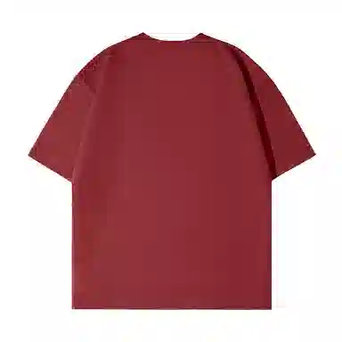 HIPANDA T