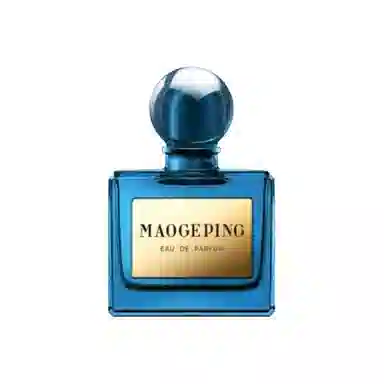 MAOGEPING EDP