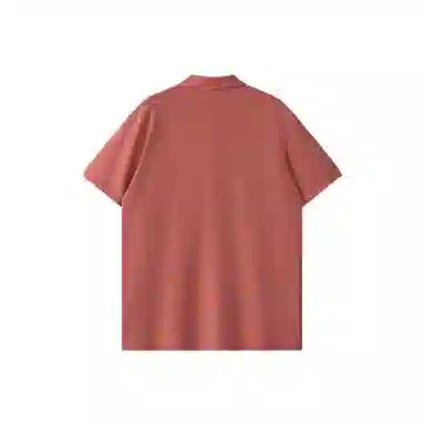 WILLIAM FOXSONS Polo