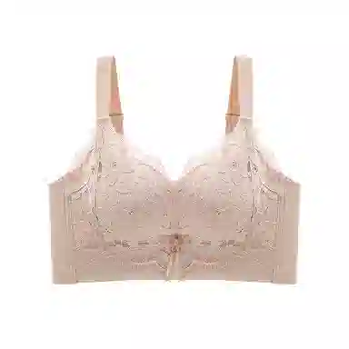 二三二三 聚拢提拉上托不空杯亲肤舒适侧收副乳无钢圈软支撑法式蕾丝花卉俏皮慵懒简约时尚百搭性感纯欲文胸 女款