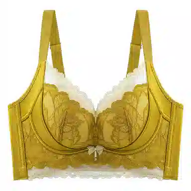 二三二三 自然聚拢提拉上托不空杯亲肤舒适内衣侧收副乳无钢圈可调节肩带软支撑胸罩撞色法式蕾丝花时尚百搭性感纯欲文胸 女款