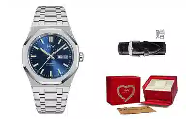 IW CARNIVAL HWGUOJI 793G