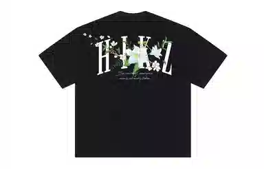 HIKZ logoT