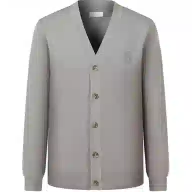 GANT V