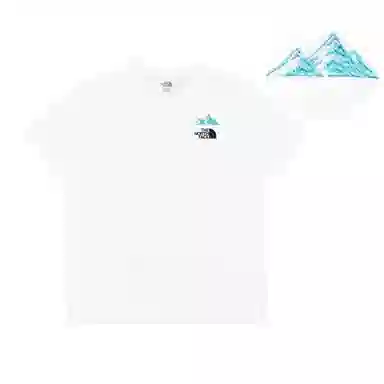 THE NORTH FACE Extraordinary logoT