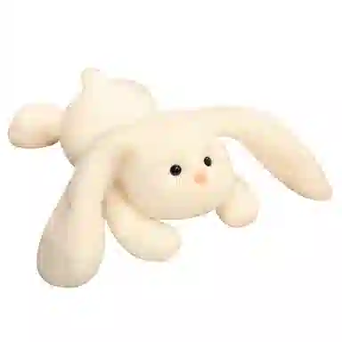 25cm