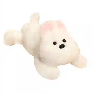 25cm