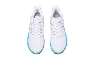 Nike Air Zoom Pegasus 39