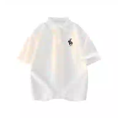 PUNCTILIOUS LOGOPolo