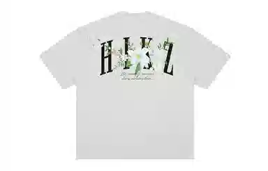 HIKZ logoT