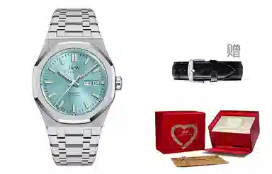 IW CARNIVAL HWGUOJI 793G