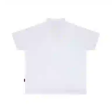 HEA Polo
