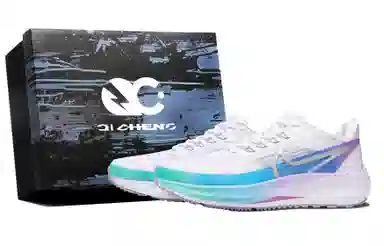 Nike Air Zoom Pegasus 39