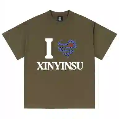 XINYINSU T