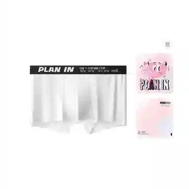 PLAN IN