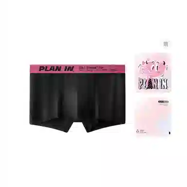 PLAN IN
