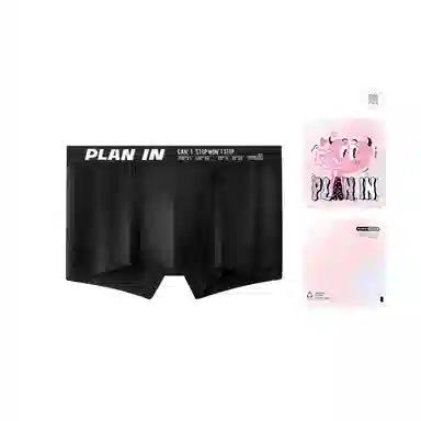 PLAN IN