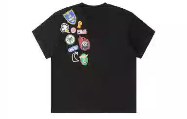 ICONS Lab ICS T
