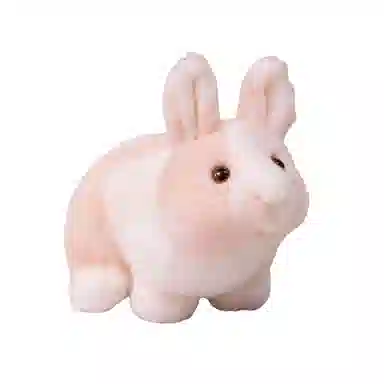 28cm
