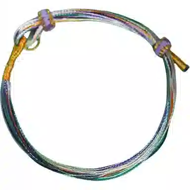 SGM