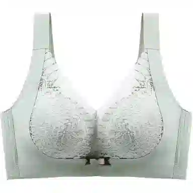 黛尔佳人 性感无痕内衣女小胸聚拢收副乳防下垂胸罩爆款无钢圈文胸 女款
