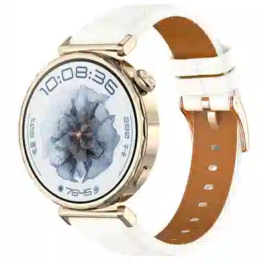 Antey 200mm watch gt5
