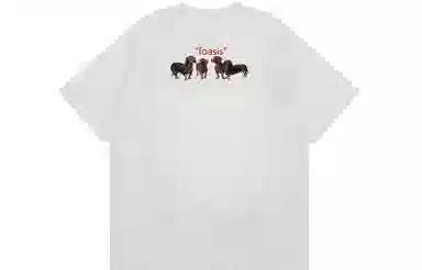FOASIS T