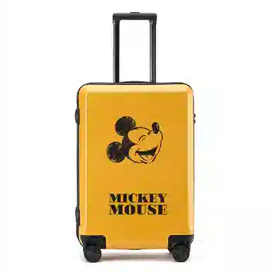 MESUCA ABS+PC 20242622