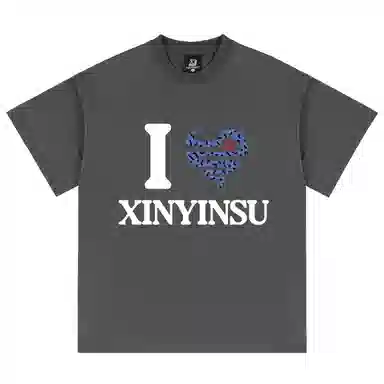 XINYINSU T