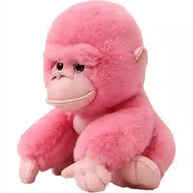 20cm30cm