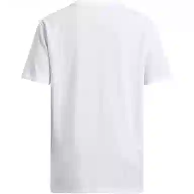 Under Armour T -100